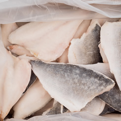Import and sale of frozen fish in container units